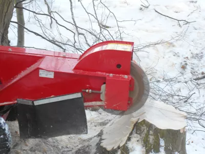 481689